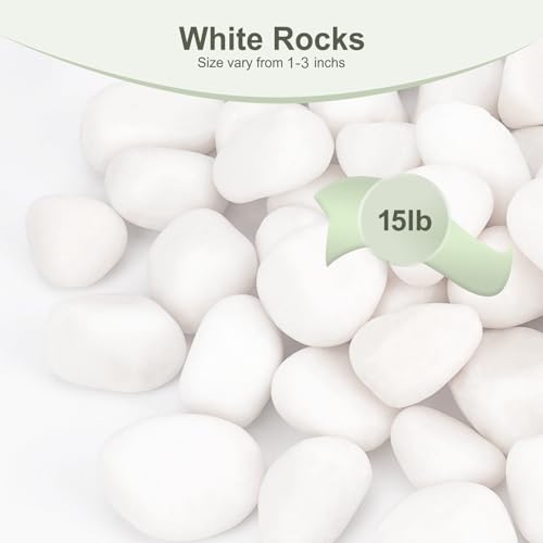 15 lbs White Rocks for Plants Indoor, 1-3 inch Decorative Garden Stone Outdoor Landscaping, Walkways, Yard, Large Polished River Rocks for Plants Pots, Vases, Crafts