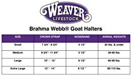 Brahma Webb ® Goat Halter, Medium, Brown