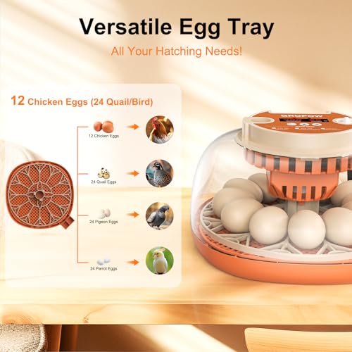 12 Egg Incubator, Automatic Turning with Temperature & Humidity Control, Egg Candler, 360 View with Air Vent, Auto Water Bottle Refill, Chicken Incubator for Hatching Eggs