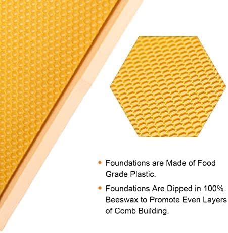 10-Frame Beehive Box Langstroth Medium Super Bee Box for Sale Wax Coated Bee Hives Includes Wooden Frames & Waxed Foundations (Unassembled)