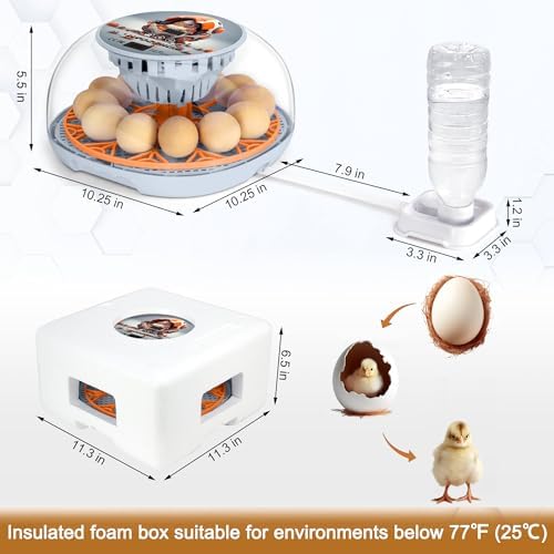 Smart Chicken Incubators for Hatching Eggs with Automatic Turner Small Poultry Duck Quail 12 Egg Incubator Temperature Control Display Hatcher Machine (Mechachick, ℉)