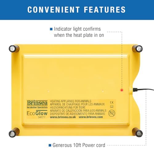 Brinsea Ecoglow Safety 600 Chick or Duckling Brooder, Adjustable Height & Angle Brooder Plate for 20 Chicks, Ideal for Chicken Coops Poultry Heating with Safety Indicator, 12 Watts