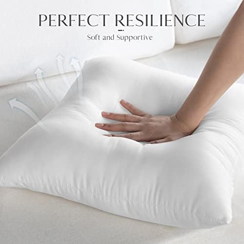Ashler Outdoor Pillow Inserts, 18x18 Waterproof Throw Pillows Pack of 2, Outdoor Pillows Water-Resistant Decorative Premium Square Pillow Stuffer Sham for Porch Patio Living Room Bedroom Furniture