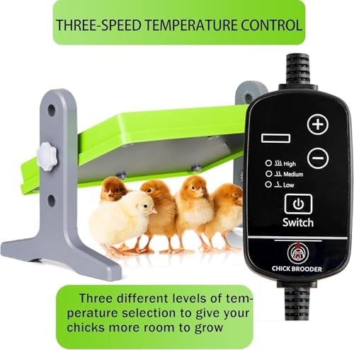 Chick Brooder (12"x8") Brooder Heater for Chicks Ducks and Birds Incubation Heating Keep Chicks Warm Newly Upgraded Temperature Adjustable Height Adjustable Chick Heating Plate - Green