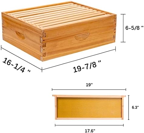 10-Frame Beehive Box Langstroth Medium Super Bee Box for Sale Wax Coated Bee Hives Includes Wooden Frames & Waxed Foundations (Unassembled)