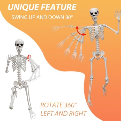 DINESIL 6Ft/185cm Halloween Skeleton, Life Size Skeleton Halloween Realistic Full Body Bones with Movable Joints for Party Haunted House Indoor Outdoor Decoration