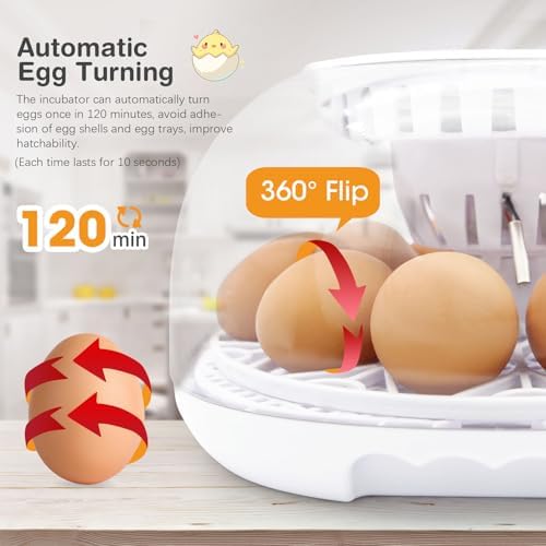 Incubators for Hatching Eggs, 12 Egg Incubator with Automatic Egg Turning and Temperature Control, Automatic Water Adding, LED Egg Candler, for Hatching Duck, Quail, Goose Eggs (White)