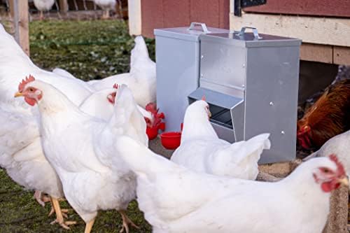 RentACoop Metal Trough Feeder with Lid - Outdoor Use, Rainproof - Suitable for Chicken, Bantams, Poultry, Pheasants, and Turkey - 10lb Capacity