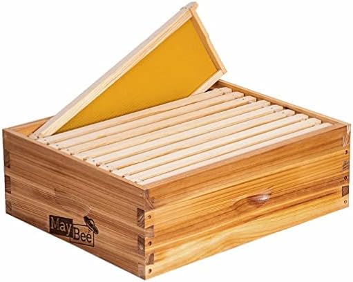 10-Frame Beehive Box Langstroth Medium Super Bee Box for Sale Wax Coated Bee Hives Includes Wooden Frames & Waxed Foundations (Assembled)