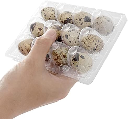 JOIKIT 150 PCS 12 Cavity Clear Plastic Quail Egg Cartons, PVC Stackable Egg Storage Box with Hinge Lid, Small Quail Egg Holder Cartons Cheap Bulks for Quail Eggs Farm Market Refrigerator Display