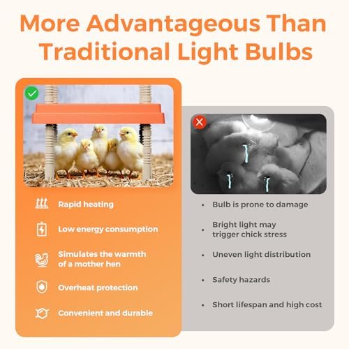 10" x 10" Chick Brooder Heating Plate with Adjustable Temperature and Height, Holds 15 Young Chickens