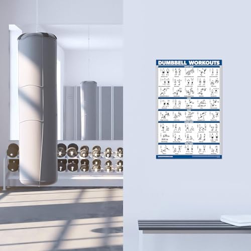 Palace Learning Dumbbell Workout Exercise Poster - Free Weight Body Building Guide | Home Gym Chart - LAMINATED, 18" x 24"