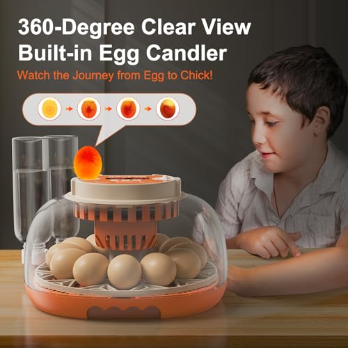 12 Egg Incubator, Automatic Turning with Temperature & Humidity Control, Egg Candler, 360 View with Air Vent, Auto Water Bottle Refill, Chicken Incubator for Hatching Eggs