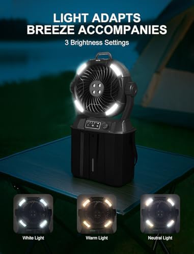 Portable Misting Fans - 6L Water Tank, 20000mAh Rechargeable Outside Water Fans with Remote Control, LED Light Adjustable Spray Mister Fan with Hook/Bucket, Misters for Outdoor Patio/Camping