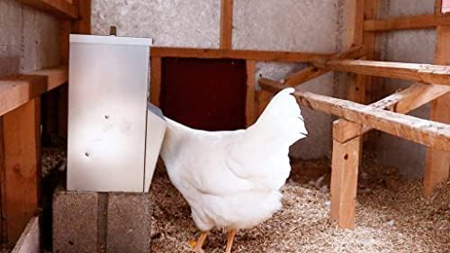 RentACoop Metal Trough Feeder with Lid - Outdoor Use, Rainproof - Suitable for Chicken, Bantams, Poultry, Pheasants, and Turkey - 10lb Capacity