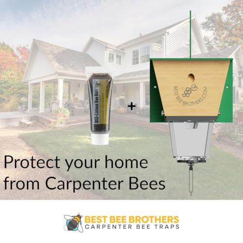 Best Bee Brothers Bee-Licious Bee Bait, All-Natural Carpenter Bee Lure, 10 ml Squeeze Tube