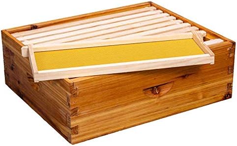 10-Frame Beehive Box Langstroth Medium Super Bee Box for Sale Wax Coated Bee Hives Includes Wooden Frames & Waxed Foundations (Unassembled)