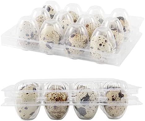 JOIKIT 150 PCS 12 Cavity Clear Plastic Quail Egg Cartons, PVC Stackable Egg Storage Box with Hinge Lid, Small Quail Egg Holder Cartons Cheap Bulks for Quail Eggs Farm Market Refrigerator Display