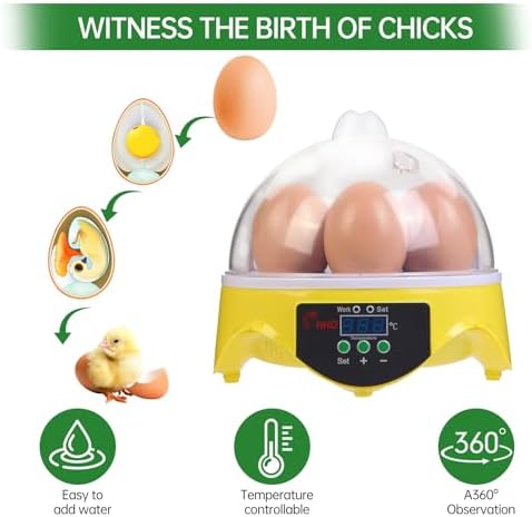 7-Egg Incubator 360° View Poultry Incubator with Manual Temperature Control for Hatching Chicken, Duck, Goose, Parrot, and Quail Eggs