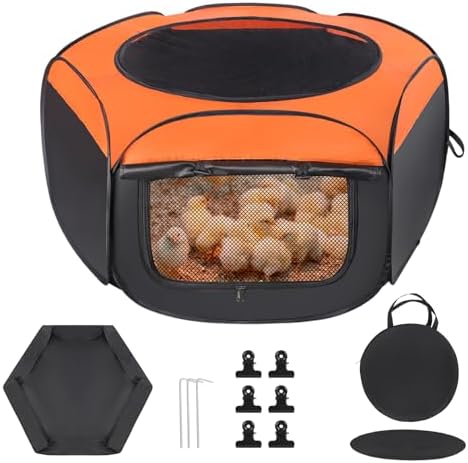 Chick Brooder Box, Upgrade Double Door Brooder Box for Chick Starter Kit, Pop-Up Baby Chicken Pen Supplies Brooding Up to 15 Baby Chicks, Duck and Quail