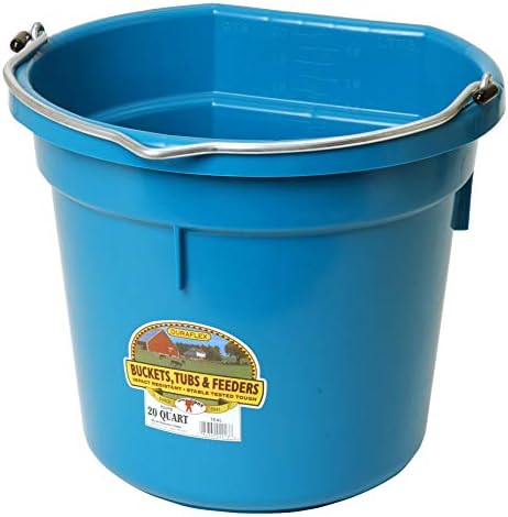 Little Giant Plastic Animal Feed Bucket (Teal) Flat Back Plastic Feed Bucket with Metal Handle (20 Quarts / 5 Gallons) (Item No. P20FBTEAL6)