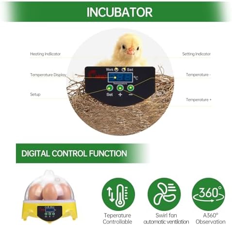 7-Egg Incubator 360° View Poultry Incubator with Manual Temperature Control for Hatching Chicken, Duck, Goose, Parrot, and Quail Eggs