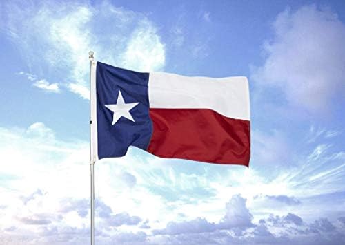 Homissor State of Texas 3x5 Feet Flag - Embroidered Sewn Heavy Duty 210D Oxford Nylon Flags Vivid Color - Brass Grommets and 4 Stitch Hemming