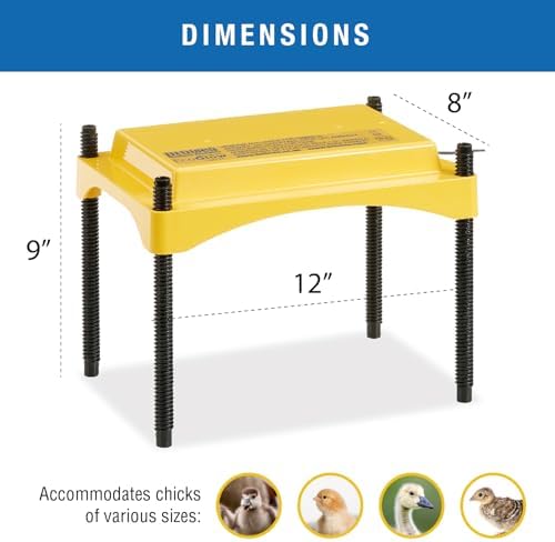 Brinsea Ecoglow Safety 600 Chick or Duckling Brooder, Adjustable Height & Angle Brooder Plate for 20 Chicks, Ideal for Chicken Coops Poultry Heating with Safety Indicator, 12 Watts