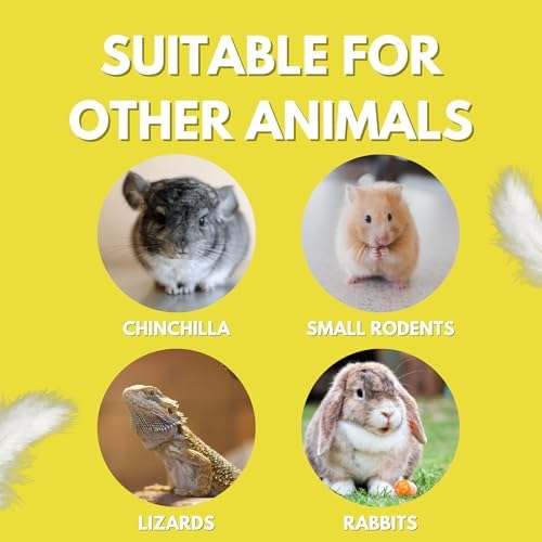 Chicken's Choice Chicken Dust Bath, 6 lb Natural Volcanic Ash Dust Bath for Chickens. Dust Mix for Healthy Chickens, Chinchillas, Small Animals. Made in The USA. Coop Accessories (1, Volcanic Ash)