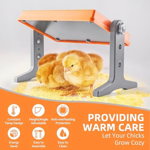 Chick Brooder Heater Plate – 12" x 8" Adjustable Height & Temperature Poultry Warmer for Up to 10 Chicks, Brooder Heating Plate for Chicks and Ducklings, Orange