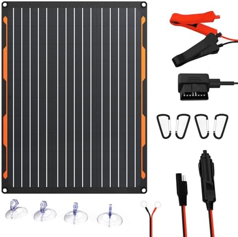 FlexSolar 20W 12V Solar Panel Battery Charger Maintainer Kits Trickle Charger with Built-in Charge Controller, Cig Plug, Alligator Clips, O-Rings OBDII Connector for Car, Truck,Tractor, Boat