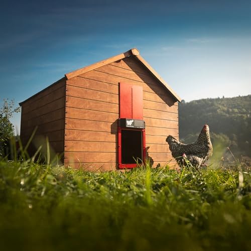 RUN-CHICKEN Door (Red) Solar, Chicken Coop Door, Battery Powered Automatic Chicken Coop Door, Programmable Electric Chicken Door with Timer, Light Sensor, Solar Powered, Eternal