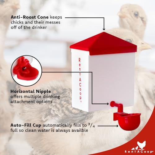 RentACoop 64oz(2L) Automatic Drinker - BPA-Free Waterer with Auto-Fill Cup - Suitable for Chicks, Quail, Pigeons, Doves, and Other Smaller Birds