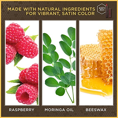 Burt's Bees 100% Natural Moisturizing Lipstick, Scarlet Soaked, 1 Tube (Pack of 5)