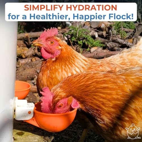 (8 Pack) Lil Clucker Large Automatic Chicken Waterer Cups | Chicken Water Feeder Suitable for Chicks, Duck, Goose, Turkey and Bunny | Poultry Water Feeder Kit (Orange)…