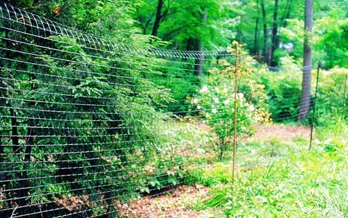Tenax Deer Fence C-Flex Select 6'x100' Black