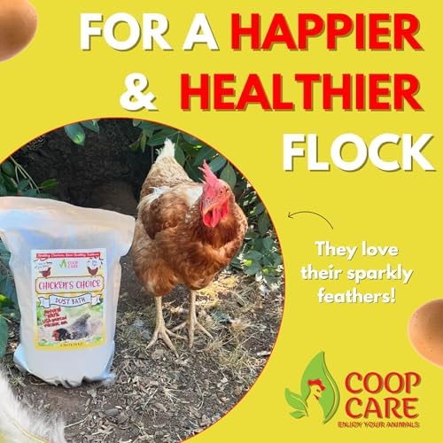 Chicken's Choice Chicken Dust Bath, 6 lb Natural Volcanic Ash Dust Bath for Chickens. Dust Mix for Healthy Chickens, Chinchillas, Small Animals. Made in The USA. Coop Accessories (1, Volcanic Ash)