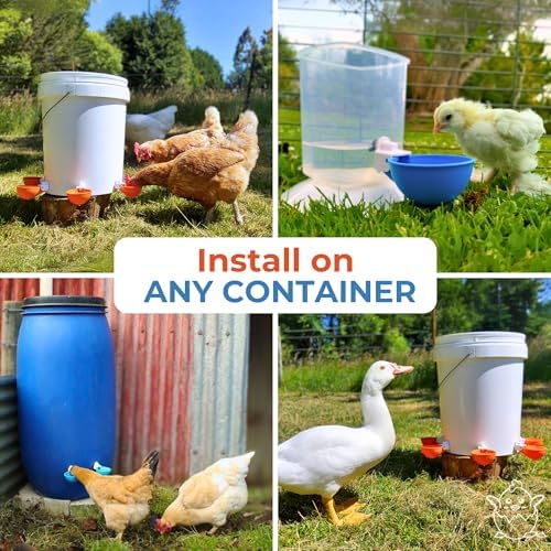 (8 Pack) Lil Clucker Large Automatic Chicken Waterer Cups | Chicken Water Feeder Suitable for Chicks, Duck, Goose, Turkey and Bunny | Poultry Water Feeder Kit (Orange)…