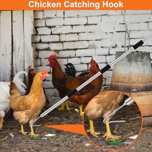 Erweicet Chicken Catcher, Chicken Leg Hook Coop Accessories 33" to 75" Inch Chicken Catcher Net for Catching Chickens Ducks Goose Birds