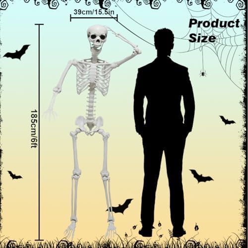 DINESIL 6Ft/185cm Halloween Skeleton, Life Size Skeleton Halloween Realistic Full Body Bones with Movable Joints for Party Haunted House Indoor Outdoor Decoration