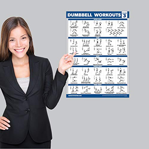 Palace Learning 3 Pack - Dumbbell Workout Posters for Home Gym - Volume 1, 2 & 3 - Exercise Charts (Laminated, 18" x 24")