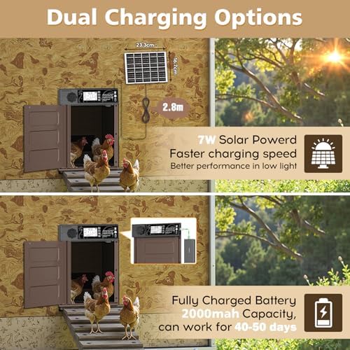 Large Size Automatic Chicken Coop Door Solar - Powered Auto Chicken Door Opener, Automatic Chicken Door with Timer/Light Sensor Modes, Intelligent Obstacle Sensors, Remote Control, 14.76"H x 11.02"L