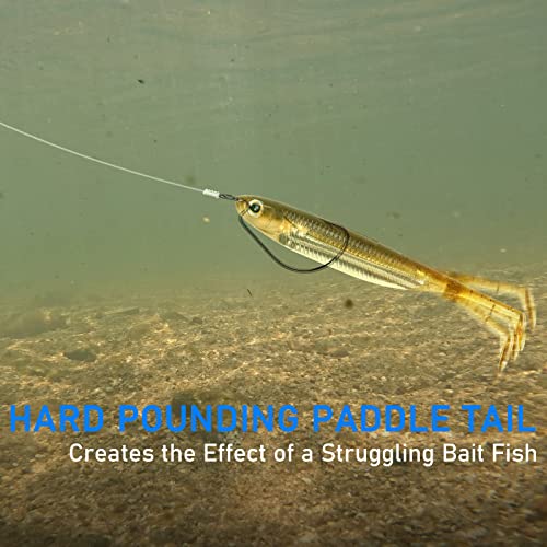 Dr.Fish Paddle Tail Swimbaits, Soft Lures for Bass Fishing, Soft Baits Swim Shad Bait Minnow Lures Drop Shot Fishing Lures 2-3/4 Inches Brown