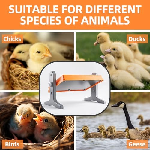 Chick Brooder Heater Plate – 12" x 8" Adjustable Height & Temperature Poultry Warmer for Up to 10 Chicks, Brooder Heating Plate for Chicks and Ducklings, Orange