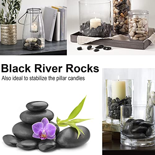Black River Rocks - Large Polished Black Pebbles for Plants & Garden Decorative Stones, 1-2 Inch, 15 Pound
