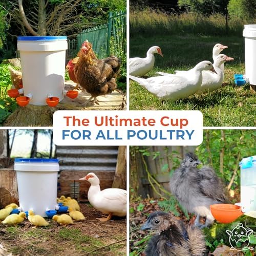 (8 Pack) Lil Clucker Large Automatic Chicken Waterer Cups | Chicken Water Feeder Suitable for Chicks, Duck, Goose, Turkey and Bunny | Poultry Water Feeder Kit (Orange)…