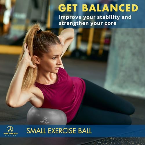 ProBody Pilates Ball Small Exercise Ball w/Pump, 9 Inch Barre Ball, Mini Soft Yoga Ball, Workout Ball for Stability, Barre, Ab, Core, and Physical Therapy Ball at Home Gym & Office (Silver)