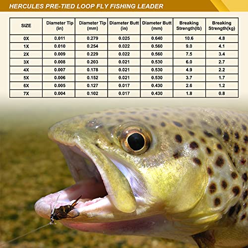 HERCULES Pre-Tied Loop Fly Fishing Leader 6 Pack with Tapered Leader Wallet, 7.5FT - 6X - 2.6LB