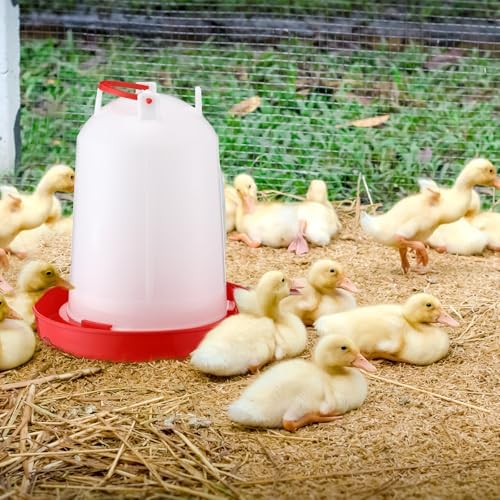 Pickmesh 2 Pcs 2 Gallon Plastic Poultry Drinker Poultry Waterer Automatic Chicken Water Feeder Fed Water Container Jar for Duck Baby Chicks Rabbit Turkeys Outdoor Farm