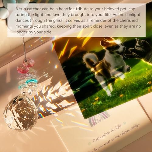 Pet Memorial Suncatcher - Dog Paw Memorial Gifts, Pet Loss Crystal Prisms Rainbow Maker, Lost of Dog Bereavement Gift Idea, Thoughtful Dogs and Cats Remembrance Sun Catcher, Pet Sympathy Gifts
